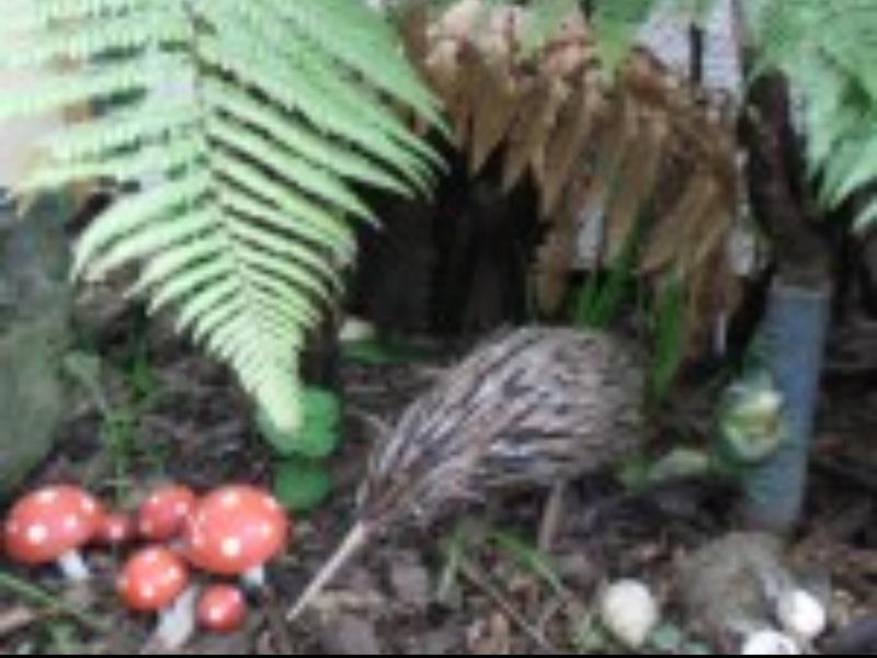 Greymouth Kiwi Holiday Park & Motels Exteriör bild